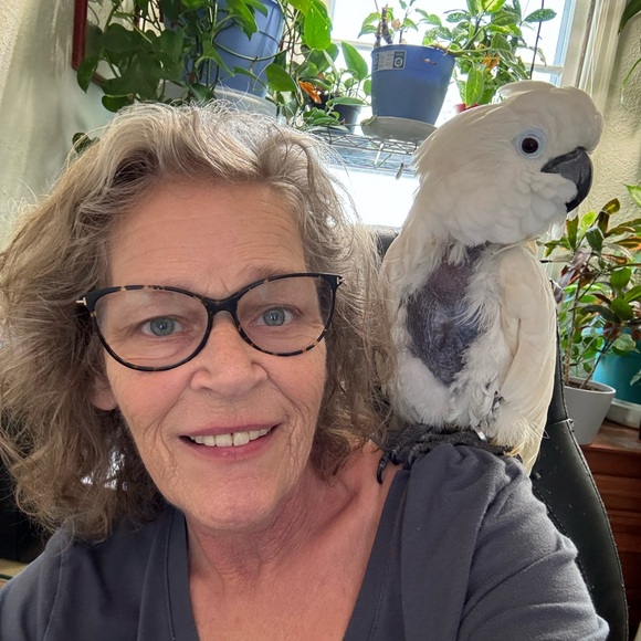 Meet your Posher, Debbi - Picture 2 of 2